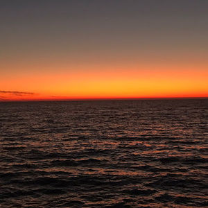 Meet your Posher, Lilone